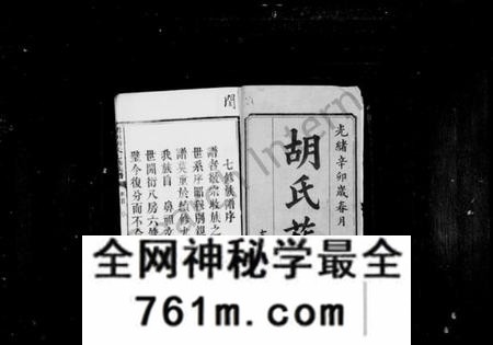 湖南胡氏族谱-胡氏族谱 [12卷,首1卷].pdf电子版