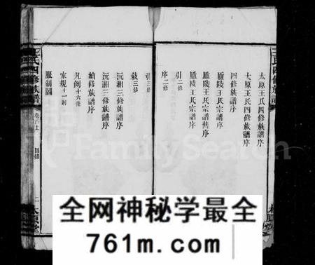 湖南王氏族谱-王氏族谱 [37卷,首3卷].pdf电子版
