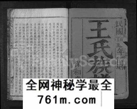 湖北王氏族谱-王氏族谱 [11卷](别名：王氏大成宗谱).pdf电子版