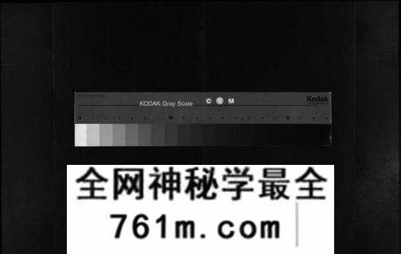 湖北陈氏族谱-陈氏宗谱 [24卷](别名：Chen Shi Zong Pu、义门宗谱、义门陈氏陈桥庄分宗谱; 江州义门陈氏宗谱、陈氏宗谱).pdf电子版