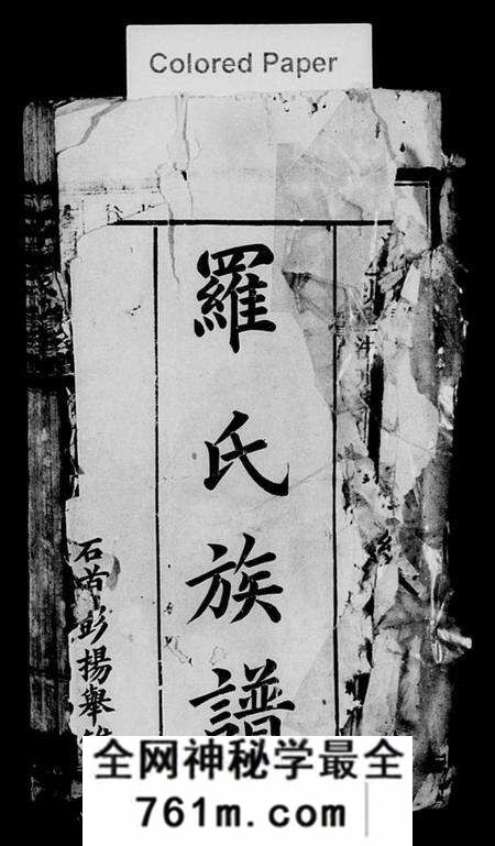 湖南罗氏族谱-黄山罗氏九修族谱 [卷数不详].pdf电子版