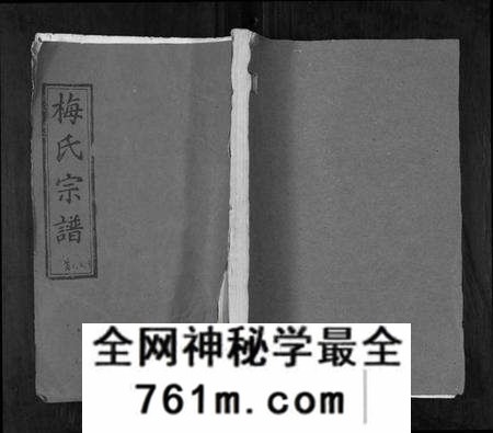 湖北梅氏族谱-梅氏宗谱[9卷首8卷].pdf电子版