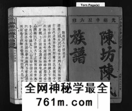 江西陈氏族谱-石城陈坊陈氏族谱 [54卷].pdf电子版