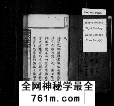 湖南袁氏族谱-杨林袁氏三修族谱 [14卷,首2卷,附录1卷].pdf电子版