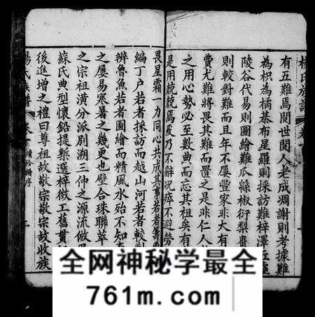 湖北杨氏族谱-杨氏族谱 [20卷,及卷首].pdf电子版
