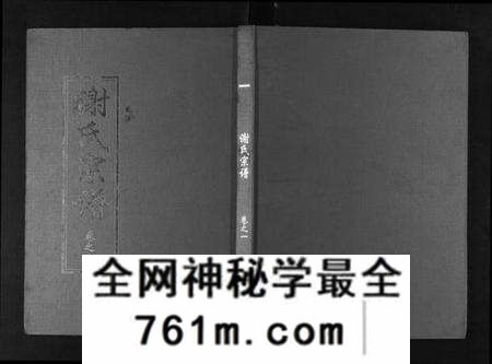 湖北谢氏族谱-谢氏宗谱.pdf电子版