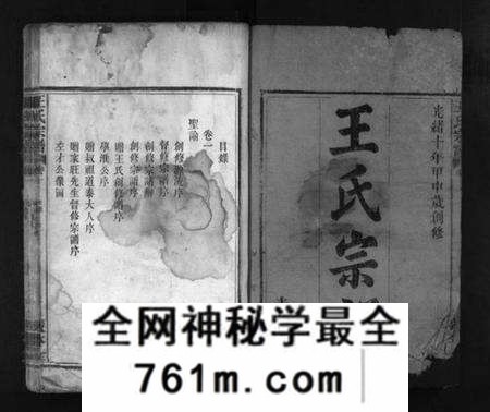 湖北王氏族谱-王氏宗谱 [8卷](别名：Wang Shi Zong Pu).pdf电子版