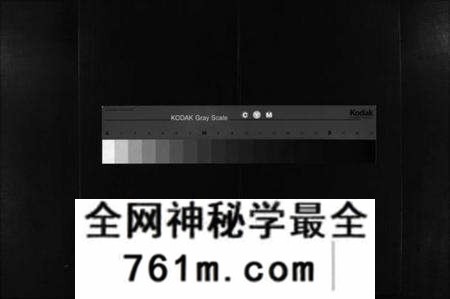 湖北洪氏陈洪氏族谱-义门陈洪宗谱 [8卷](别名：陈洪氏宗谱、Yi Men Chen Hong Shi Zong Pu).pdf电子版