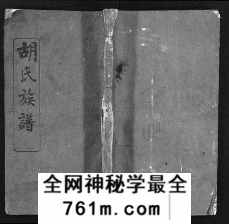 湖北胡氏族谱-胡氏族谱 [14卷](别名：胡氏族谱、Hu Shi Zu Pu、胡氏族谱).pdf电子版