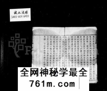湖南王氏族谱-王氏通谱 [106卷,首2卷].pdf电子版