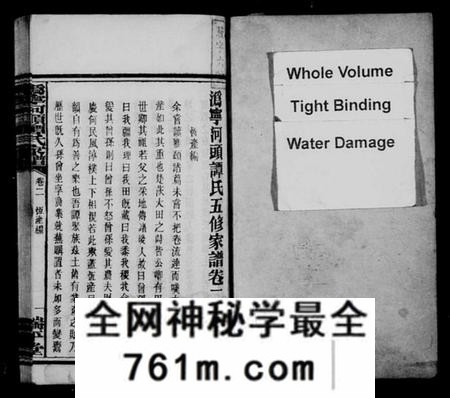 湖南谭氏族谱-沩宁河头谭氏家谱.pdf电子版