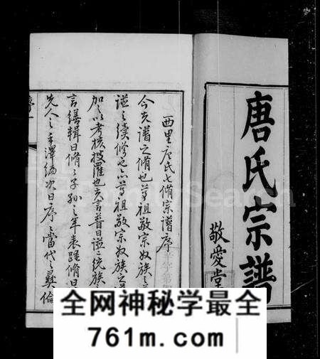 江苏唐氏族谱-前洲西里唐氏宗谱 [12卷](别名：唐氏宗谱).pdf电子版