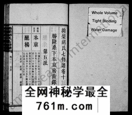 湖南胡氏族谱-拗柴胡氏七修谱 [43卷,首1卷,末2卷].pdf电子版