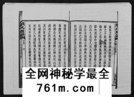 湖南戴氏族谱-戴氏通谱世系 [世系12卷,世编78卷,首4卷].pdf电子版