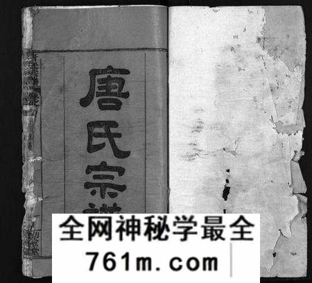 湖北唐氏族谱-唐氏宗谱 [12卷,卷1首](别名：Tang Shi Zong Pu).pdf电子版