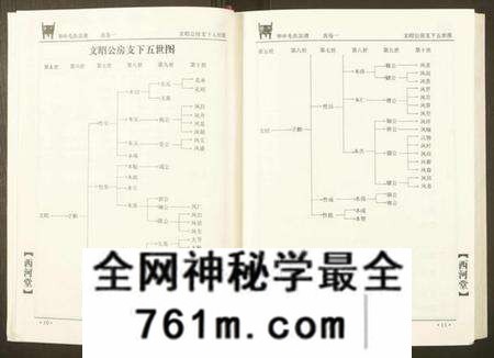 湖北毛氏族谱-华中毛氏宗谱.pdf电子版