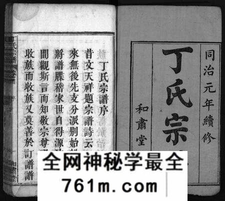 湖北丁氏族谱-丁氏宗谱 [19卷,首1卷](别名：Ding Shi Zong Pu、丁氏分续宗谱、丁氏续修宗谱).pdf电子版