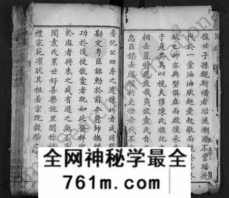 湖北袁氏族谱-袁氏宗谱 [12卷,首2卷](别名：Yuan Shi Zong Pu).pdf电子版