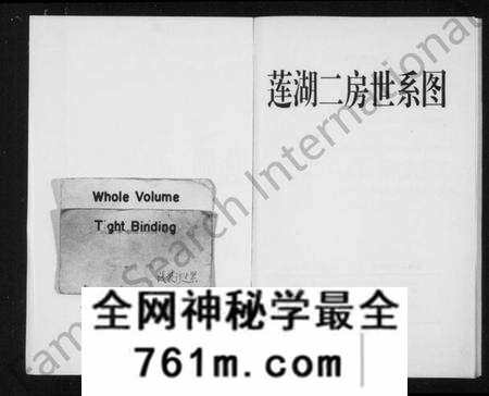 浙江施氏族谱-[施氏]莲湖二房世系图.pdf电子版