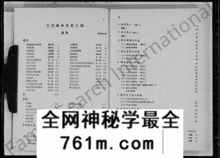 中国王氏族谱-王氏谱系及名人志.pdf电子版