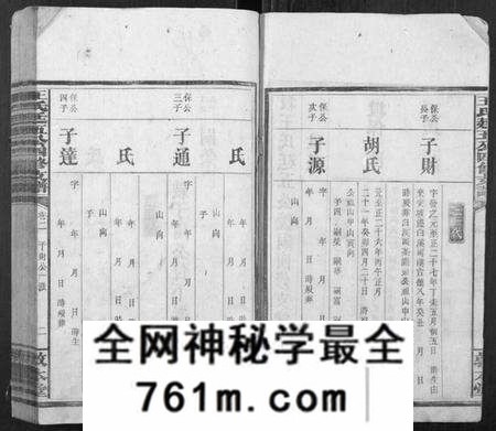 湖南王氏族谱-王氏廷五公四修支谱.pdf电子版