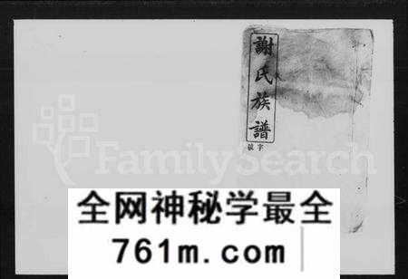 湖南谢氏族谱-谢氏族谱 [38卷,首4卷].pdf电子版