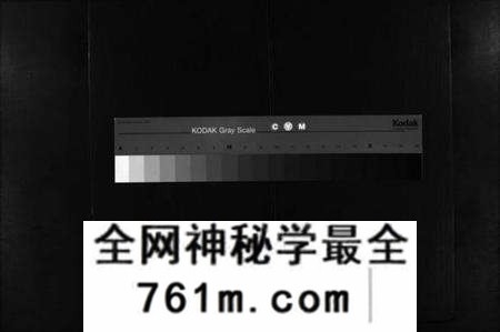 湖北锺氏族谱-锺氏宗谱 [14卷及附录](别名：Zhong Shi Zong Pu、锺氏宗谱).pdf电子版