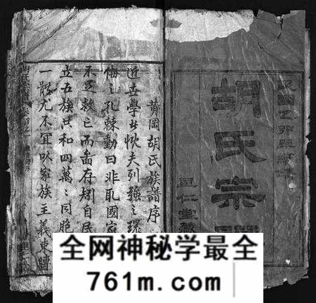 湖北胡氏族谱-胡氏宗谱 [12卷,首2卷](别名：Hu Shi Zong Pu).pdf电子版