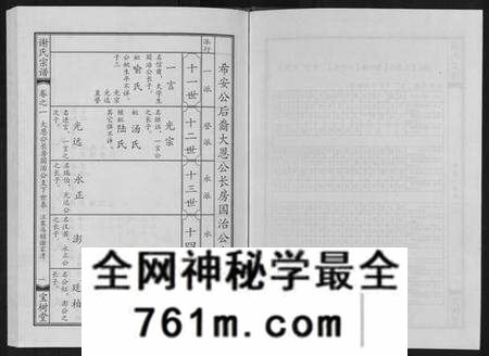 湖北谢氏族谱-谢氏宗谱.pdf电子版