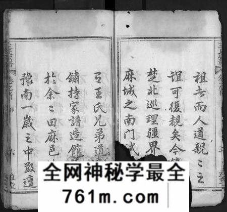 湖北王氏族谱-王氏宗谱 [4卷,首末各1卷](别名：Wang Shi Zong Pu).pdf电子版
