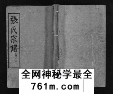 湖北张氏族谱-张氏宗谱 [15卷](别名：Zhang Shi Zong Pu、张氏宗谱).pdf电子版