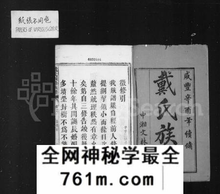 湖南戴氏族谱-鹤岭戴氏四修族谱 _ [40卷].pdf电子版