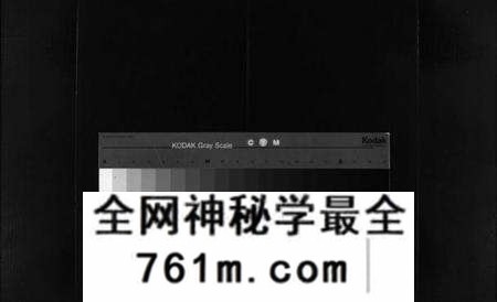 浙江林氏族谱-乐东大芙蓉林氏房谱 [不分卷].pdf电子版