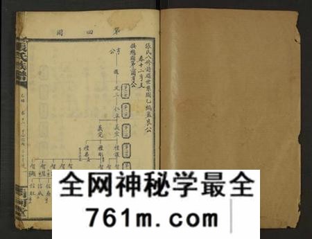 湖南张氏族谱-张氏通谱 [121册含13卷及卷附卷尾, 世系谱甲乙编卷].pdf电子版