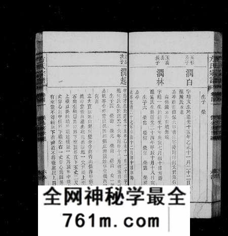 湖北汪氏族谱-汪氏宗谱 [9卷,首2卷](别名：汪氏族谱).pdf电子版