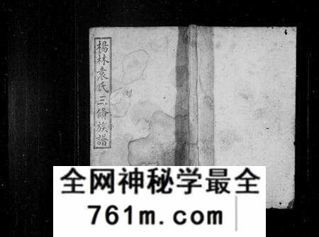 湖南袁氏族谱-杨林袁氏三修族谱 [14卷,首2卷,附录1卷].pdf电子版
