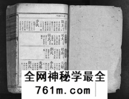 湖南廖氏族谱-廖氏续修族谱 [不分卷].pdf电子版