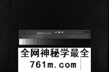 湖北文氏族谱-文氏宗谱 [13卷,首2卷](别名：义水文氏宗谱、Wen Shi Zong Pu).pdf电子版