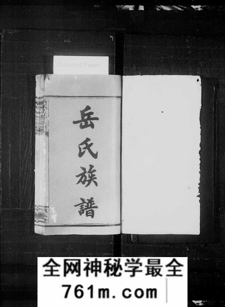 湖南岳氏族谱-岳氏五修族谱 [29卷,首4卷].pdf电子版