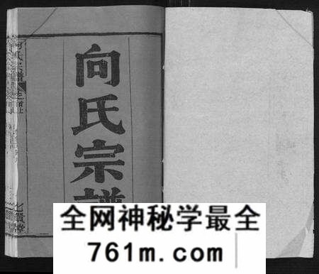 湖北向氏族谱-向氏宗谱[16卷首2卷].pdf电子版