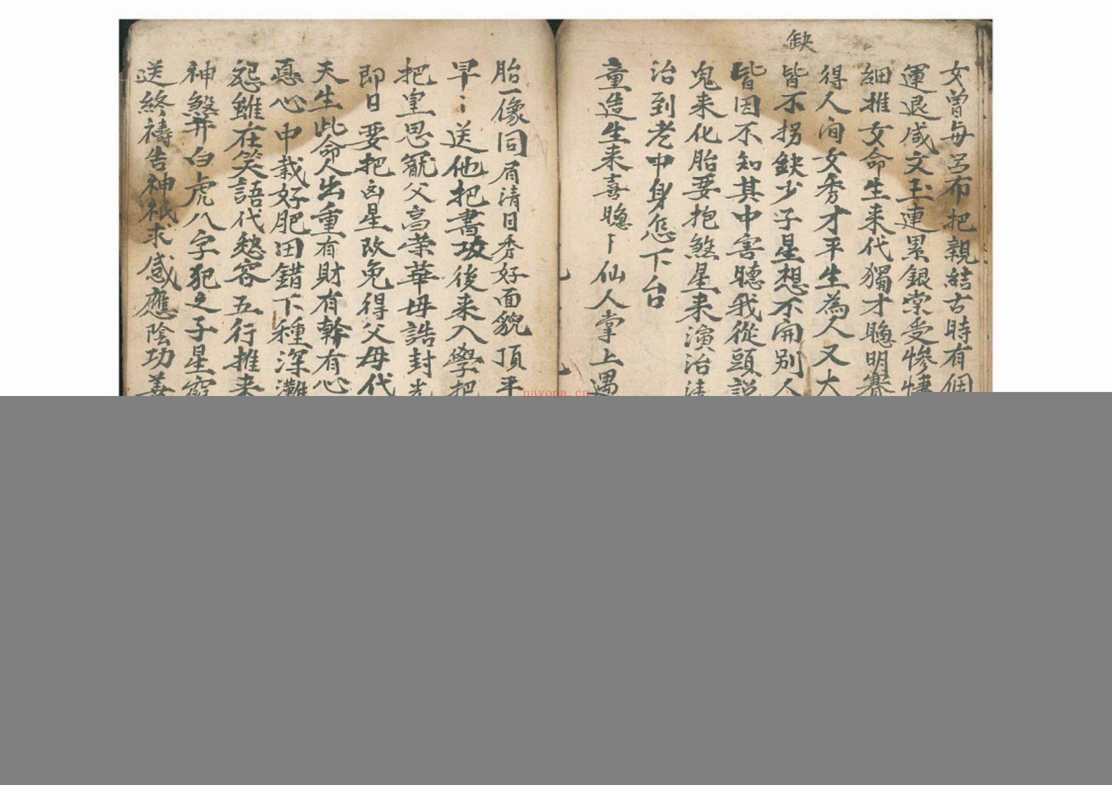 命理律条