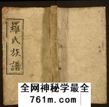 湖南罗氏族谱-罗氏九房族谱.pdf电子版