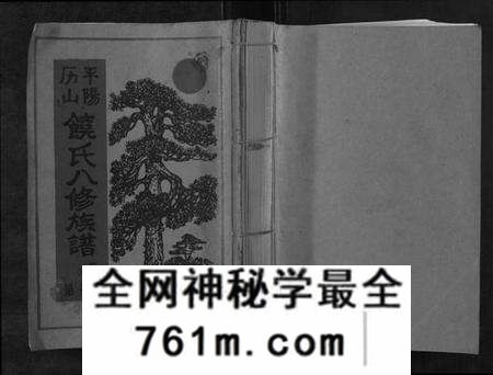 江西饶氏族谱-历山饶氏八修族谱[不分卷].pdf电子版