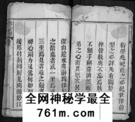 湖北魏氏族谱-魏氏族谱 [11卷,首3卷](别名：黄冈柳村魏氏续修族谱).pdf电子版
