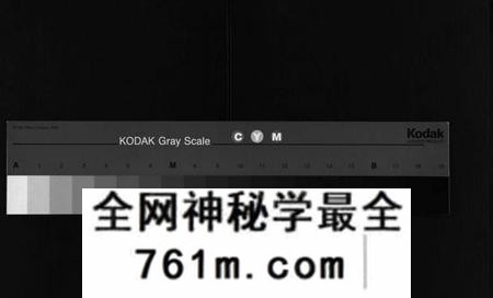 湖南杨氏族谱-杨氏大成族谱[27卷].pdf电子版