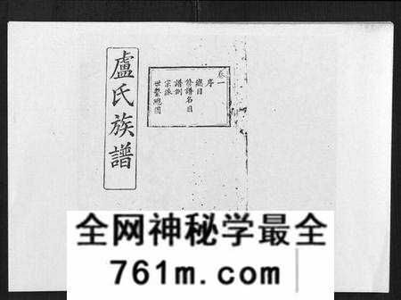 湖北卢氏族谱-卢氏族谱[20卷].pdf电子版