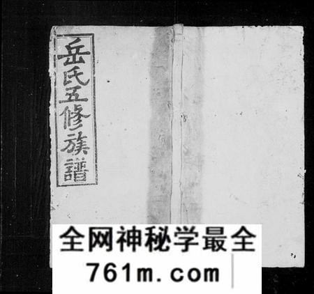 湖南岳氏族谱-岳氏五修族谱 [29卷,首4卷].pdf电子版