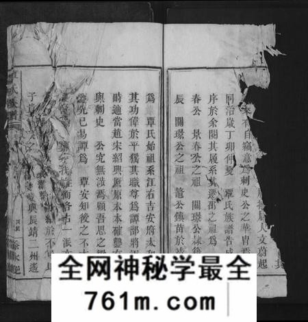 湖南覃氏族谱-覃氏族谱[总卷数不详].pdf电子版