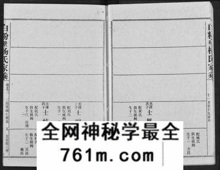 湖北杨氏族谱-白粉壁杨氏宗谱.pdf电子版