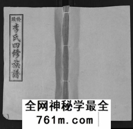 湖南李氏族谱-桥头李氏四修族谱 [35卷,首5卷].pdf电子版